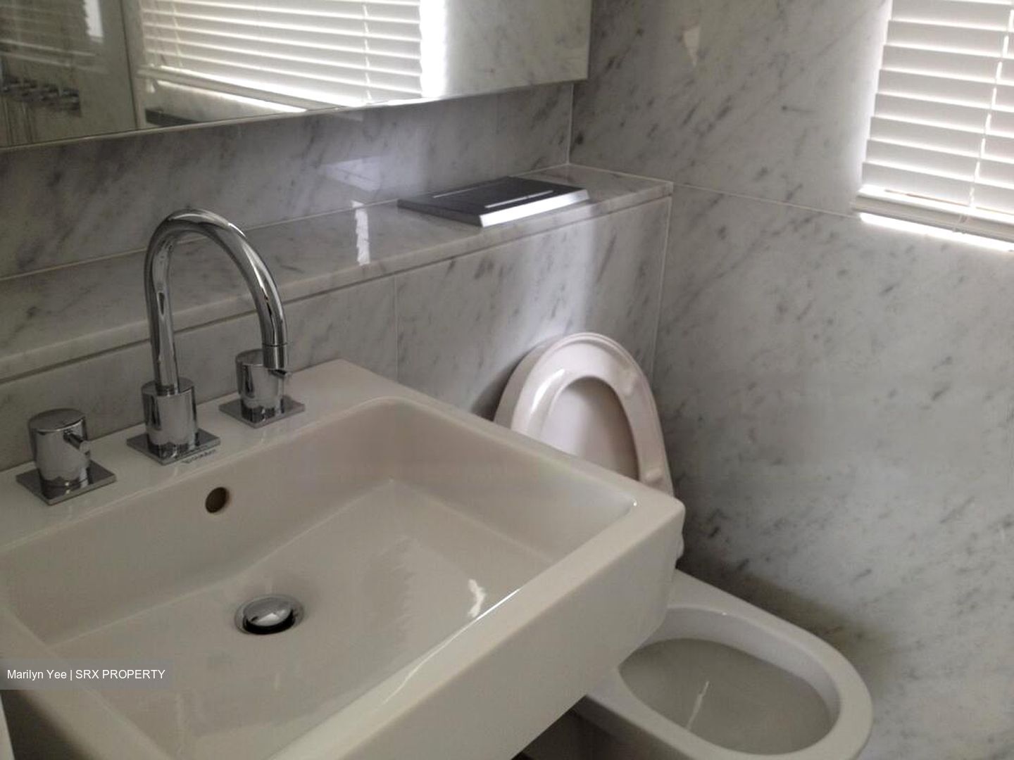 Scotts Square (D9), Apartment #466468191